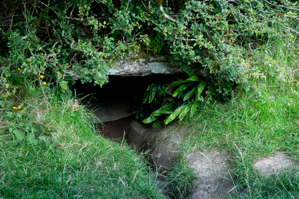 The entrance to Oweynagat, the mythical site of conception of Queen Meadhbh, on the Rathcroghan  tour. 