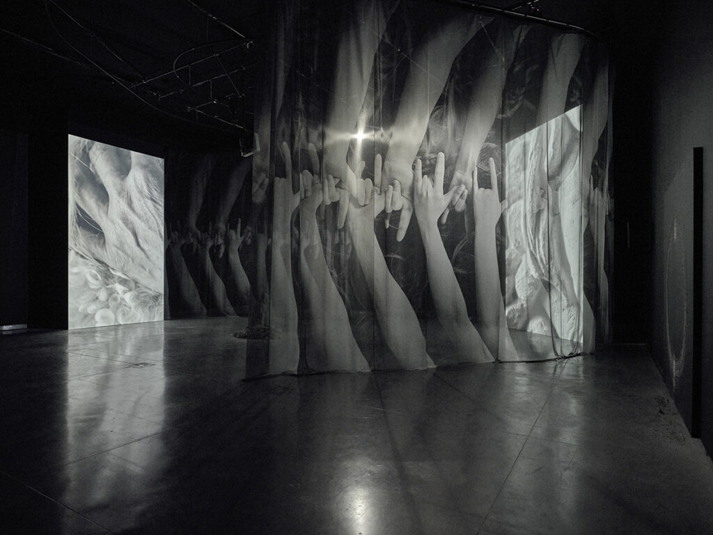Scene from The Tower by Jesse Jones. Black and white still of a screen and a curtain that looks like a forest of interlocked arms.