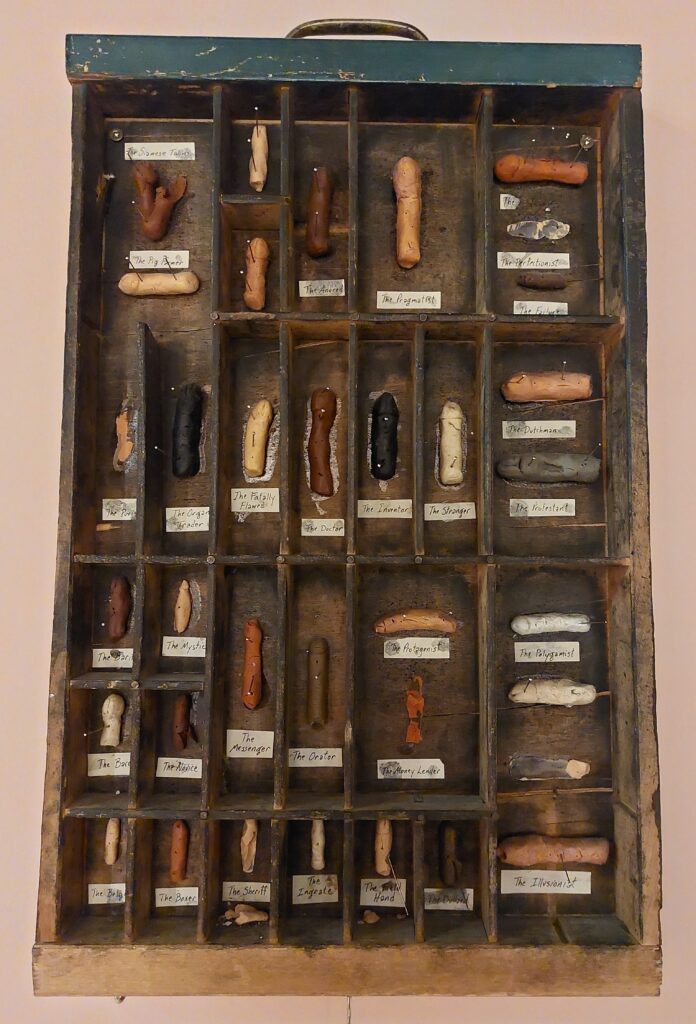 A cabinet in the Penis Museum containing penis shapes held with pins and labeled. For example The Pragmatist, The Adored, The Perfectionists. No explanation.