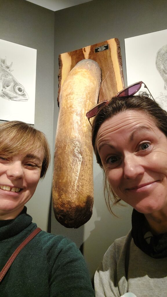 Two of the Wild Gees (white, middle aged women) with a very large fossilized elephant penis at the Penis Museum in Iceland