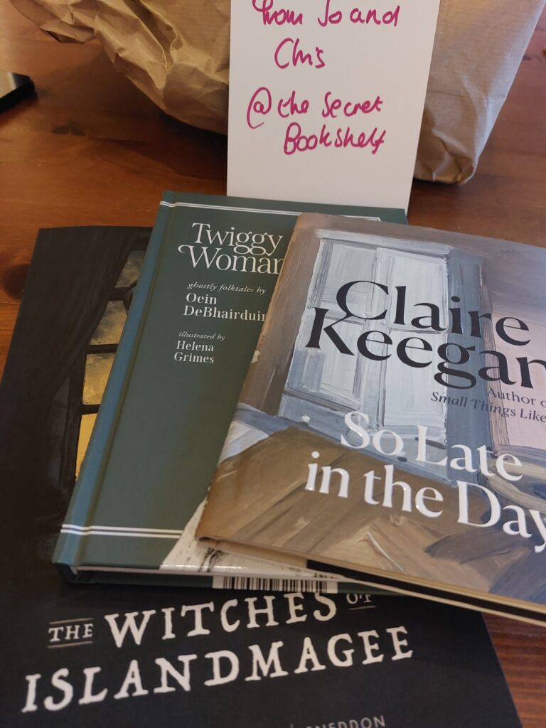 Pile of books, including Clare Keegan, Oein deBhairduin and the Witches of Islandmagee graphic novel.