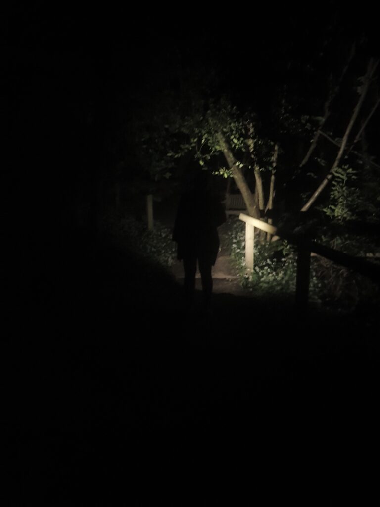 Shadowed figures walking through a wooded area in the dark.